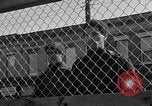 Image of Ernest Green RTP Inc training black youth New York City USA, 1969, second 35 stock footage video 65675044194