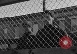 Image of Ernest Green RTP Inc training black youth New York City USA, 1969, second 36 stock footage video 65675044194