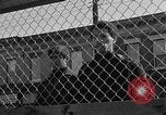 Image of Ernest Green RTP Inc training black youth New York City USA, 1969, second 38 stock footage video 65675044194