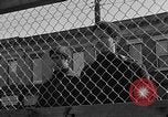 Image of Ernest Green RTP Inc training black youth New York City USA, 1969, second 39 stock footage video 65675044194