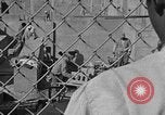 Image of Ernest Green RTP Inc training black youth New York City USA, 1969, second 43 stock footage video 65675044194