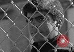 Image of Ernest Green RTP Inc training black youth New York City USA, 1969, second 47 stock footage video 65675044194