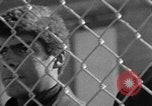 Image of Ernest Green RTP Inc training black youth New York City USA, 1969, second 49 stock footage video 65675044194