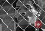 Image of Ernest Green RTP Inc training black youth New York City USA, 1969, second 51 stock footage video 65675044194