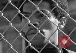 Image of Ernest Green RTP Inc training black youth New York City USA, 1969, second 52 stock footage video 65675044194