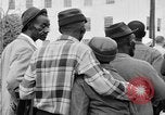 Image Dernière Selma à Montgomery mars Montgomery Alabama USA, 1965, de la seconde 33 séquences d'archives historiques vidéo 65675044204