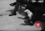 Image of Lyndon Johnson Kansas United States USA, 1967, second 40 stock footage video 65675044205