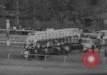 Image of International Horse Race Washington DC USA, 1967, second 11 stock footage video 65675044211
