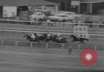 Image of International Horse Race Washington DC USA, 1967, second 17 stock footage video 65675044211