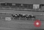 Image of International Horse Race Washington DC USA, 1967, second 18 stock footage video 65675044211