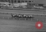 Image of International Horse Race Washington DC USA, 1967, second 21 stock footage video 65675044211