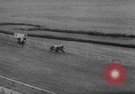 Image of International Horse Race Washington DC USA, 1967, second 39 stock footage video 65675044211