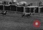 Image of International Horse Race Washington DC USA, 1967, second 44 stock footage video 65675044211