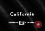 Immagine di Alfred Hitchcock Los Angeles California USA, 1964, secondo 3 filmato di repertorio 65675044217
