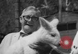 Immagine di Alfred Hitchcock Los Angeles California USA, 1964, secondo 11 filmato di repertorio 65675044217
