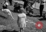 Immagine di Alfred Hitchcock Los Angeles California USA, 1964, secondo 27 filmato di repertorio 65675044217