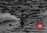 Immagine di Sci d'acqua campionato Germania, 1964, secondo 17 filmato di repertorio 65675044218
