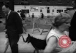 Immagine di I dimostranti New York City USA, 1962, secondo 6 filmato di repertorio 65675044240