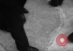 Immagine di I dimostranti New York City USA, 1962, secondo 45 filmato di repertorio 65675044240