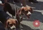 Image of Lyndon B Johnson Washington DC USA, 1964, second 17 stock footage video 65675044249