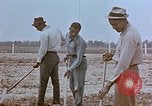 Immagine di National Youth Administration Boligee Alabama USA, 1940, secondo 55 filmato di repertorio 65675044262