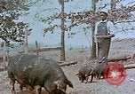 Immagine di National Youth Administration United States USA, 1940, secondo 15 filmato di repertorio 65675044266
