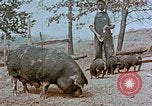 Immagine di National Youth Administration United States USA, 1940, secondo 18 filmato di repertorio 65675044266