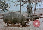 Immagine di National Youth Administration United States USA, 1940, secondo 19 filmato di repertorio 65675044266