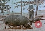Immagine di National Youth Administration United States USA, 1940, secondo 20 filmato di repertorio 65675044266