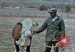Immagine di National Youth Administration United States USA, 1940, secondo 40 filmato di repertorio 65675044266