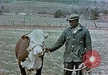 Immagine di National Youth Administration United States USA, 1940, secondo 43 filmato di repertorio 65675044266