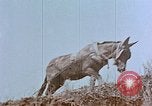 Immagine di National Youth Administration United States USA, 1940, secondo 46 filmato di repertorio 65675044266