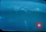 Standbild Washington Ausschreitungen Washington DC USA, 1968, aus Sekunde 60 historischem Filmmaterial Videoclip 65675044273