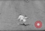 Image of Brazil Bangu versus Scotland New York City USA, 1960, second 56 stock footage video 65675044281