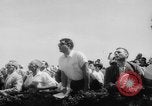 Image of Horse racing New Jersey United States USA, 1960, second 8 stock footage video 65675044282