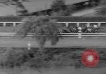 Image of Horse racing New Jersey United States USA, 1960, second 31 stock footage video 65675044282