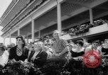 Image of Horse racing New Jersey United States USA, 1960, second 33 stock footage video 65675044282