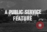 Image of Presidential campaign Washington DC USA, 1964, second 1 stock footage video 65675044283