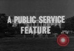 Image of Presidential campaign Washington DC USA, 1964, second 4 stock footage video 65675044283