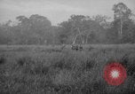Image of Henry Cabot Lodge Saigon Vietnam, 1965, second 46 stock footage video 65675044285