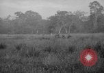 Image of Henry Cabot Lodge Saigon Vietnam, 1965, second 47 stock footage video 65675044285