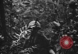 Image of Henry Cabot Lodge Saigon Vietnam, 1965, second 55 stock footage video 65675044285