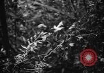 Image of Henry Cabot Lodge Saigon Vietnam, 1965, second 58 stock footage video 65675044285