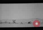 Standbild Paul Mantz Phoenix Arizona USA, 1965, aus Sekunde 52 historischem Filmmaterial Videoclip 65675044287