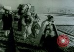 Image Le Président Lyndon B Johnson Corée, 1967, de la seconde 12 séquences d'archives historiques vidéo 65675044309