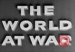 Image American bombardiers B-17 Hawaii USA, 1941, de la seconde 14 séquences d'archives historiques vidéo 65675044311