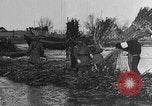 Image of USS Arizona bombed in Pearl Harbor China, 1932, second 37 stock footage video 65675044313
