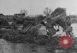 Image of USS Arizona bombed in Pearl Harbor China, 1932, second 39 stock footage video 65675044313