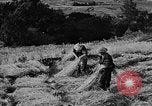 Image of Mount Fujiyama Japan, 1940, second 16 stock footage video 65675044314