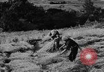 Image of Mount Fujiyama Japan, 1940, second 17 stock footage video 65675044314